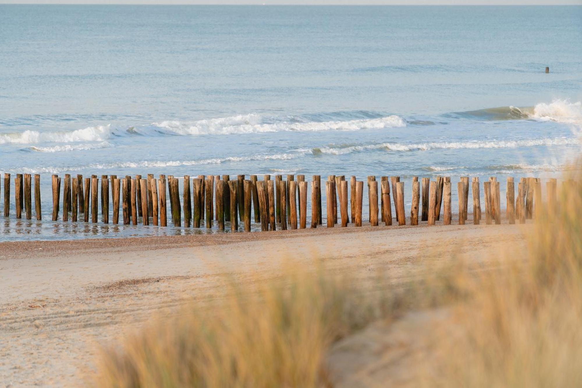 In Den Brouwery Domburg